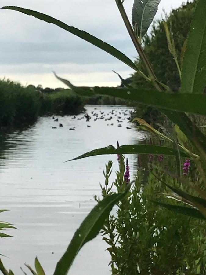 Iris'T; Dijkhuisje In De Polders Van Groede.别墅 外观 照片