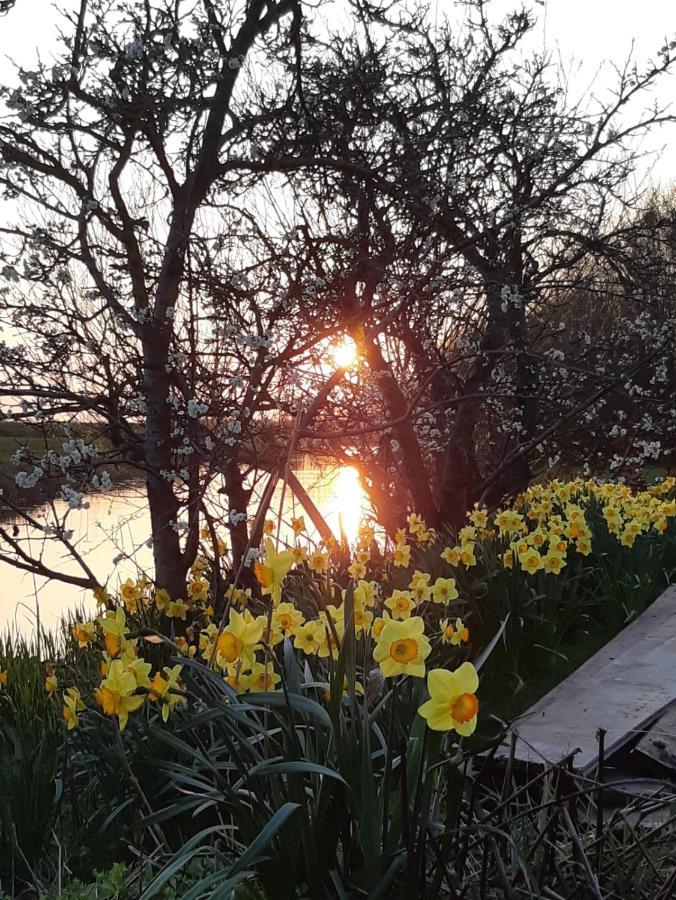 Iris'T; Dijkhuisje In De Polders Van Groede.别墅 外观 照片